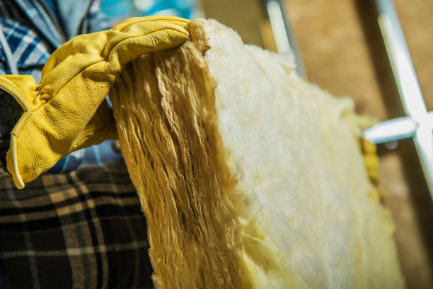 Best Geographic-Specific Insulation Services in , NE